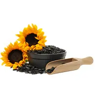 Biotina Vitamina B7 Ingrediente